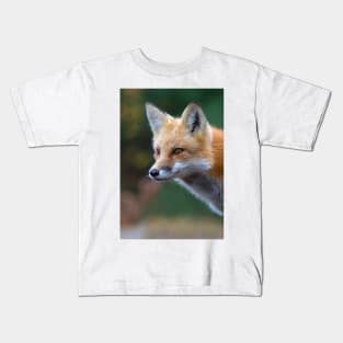 Red Fox - Algonquin Park, Canada Kids T-Shirt